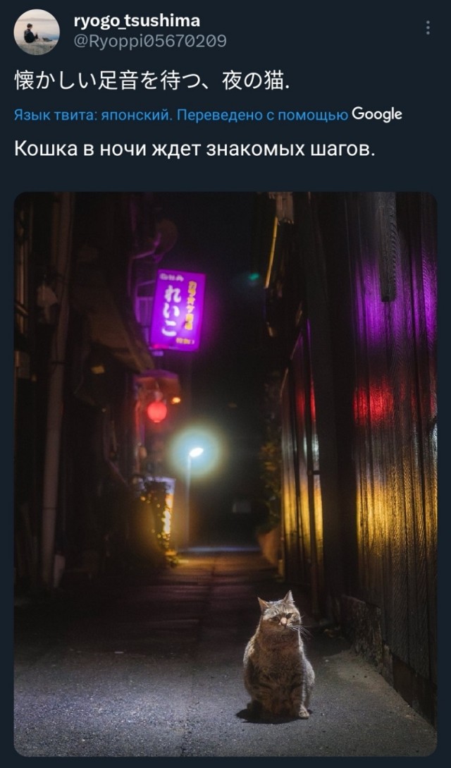 Трогательное