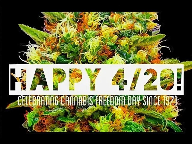 США Нью-Йорк: Национальный день травки