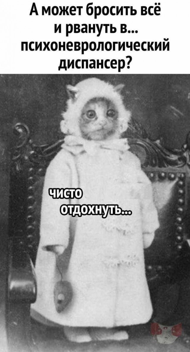 Прикольные и просто красивые картинки 08.05.2025