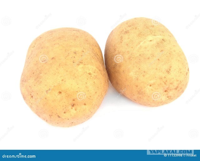 Две картошки.