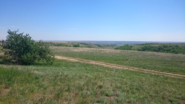 Донская степь