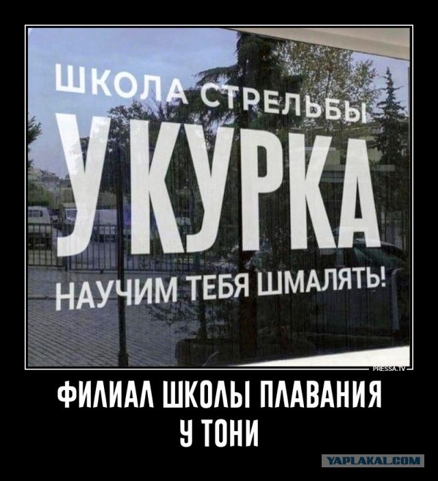 Так себе картинки 22.06.25