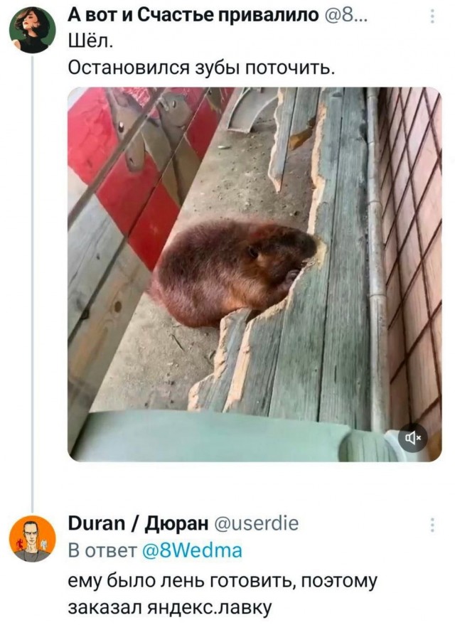 Веселое настроение в картинках (18.07.2025)