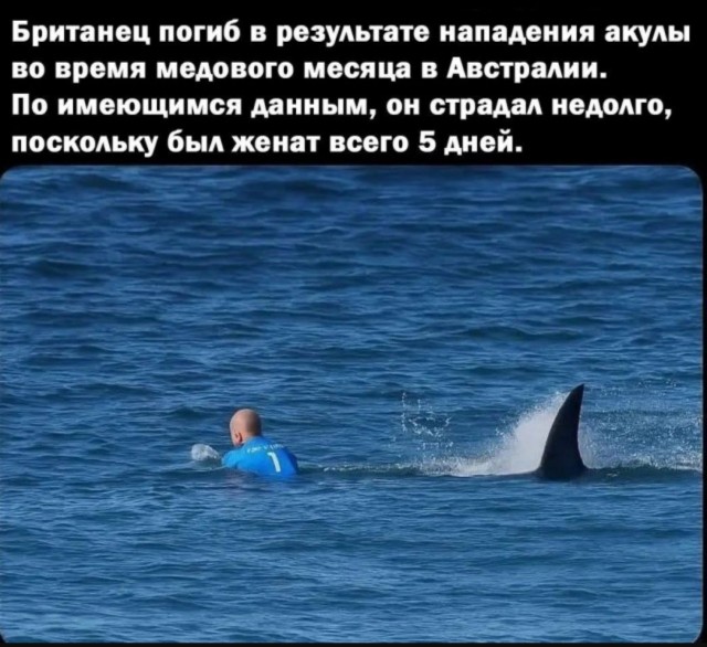 Так себе картинки 18.08.25