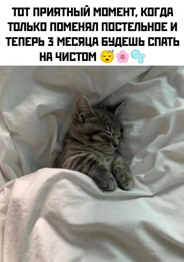 Картинки для деградации 29 (разной степени свежести)