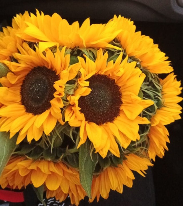 Первое сентября!