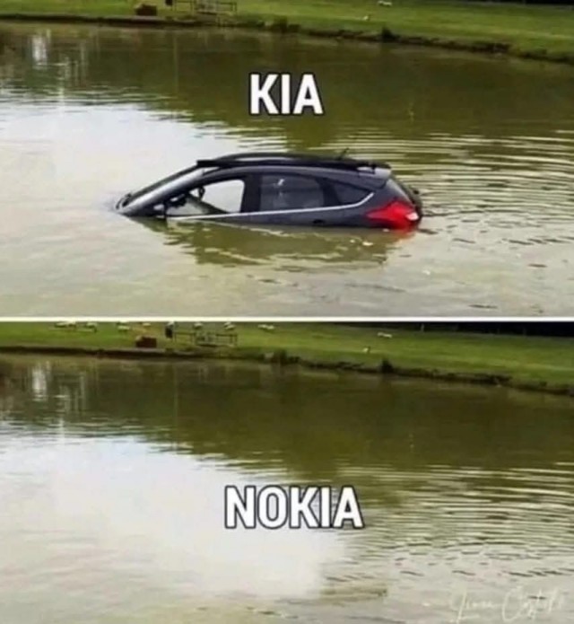 20352091.jpg