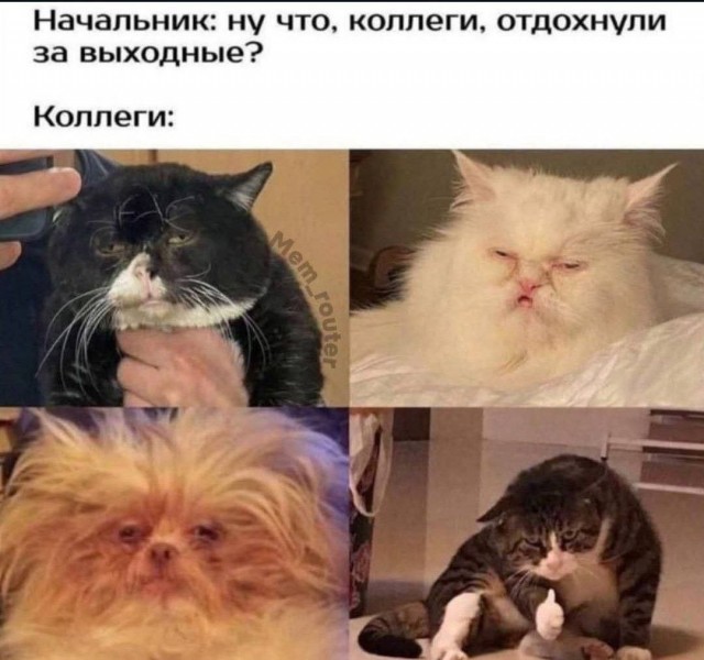 Марина, не нуди