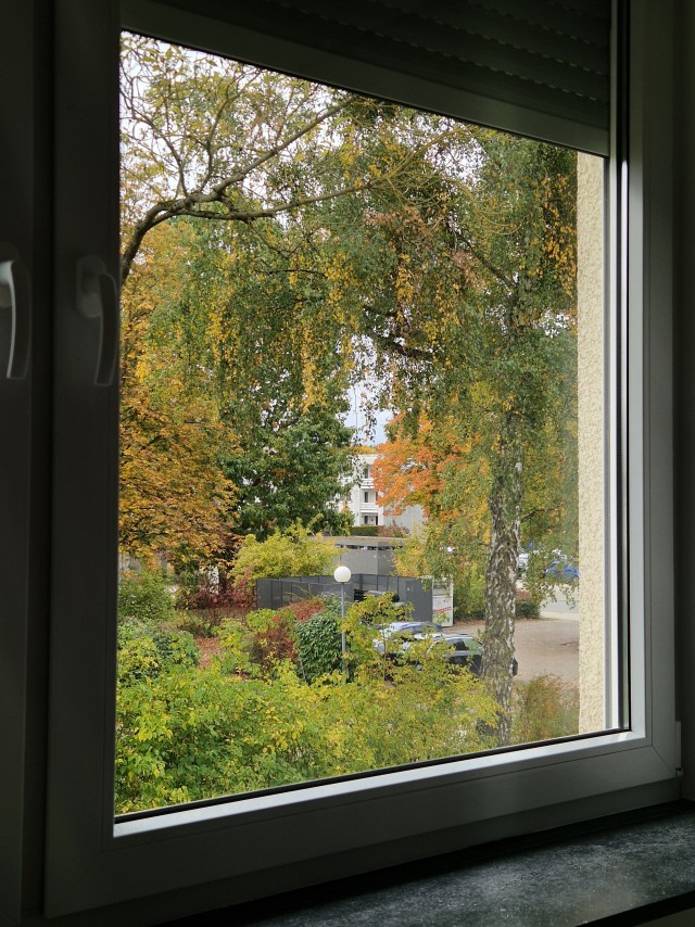 Вот и осень к нам пришла