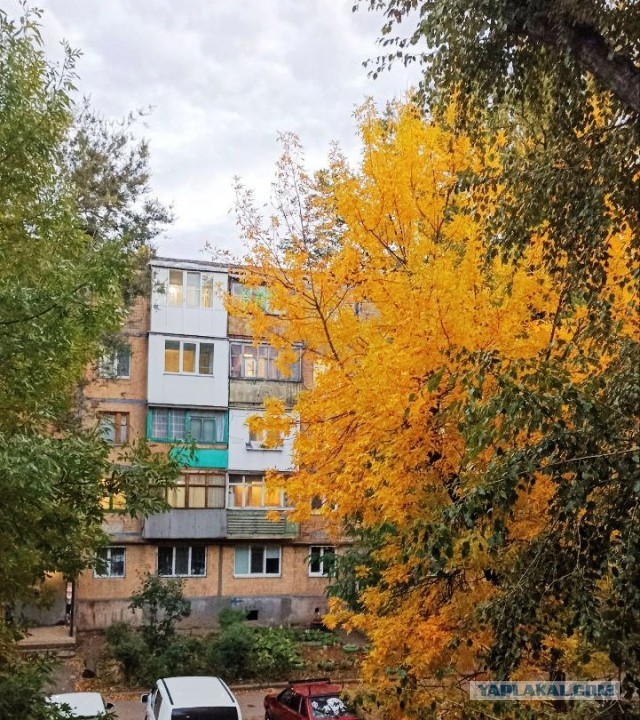 Вот такая красота у нас сегодня