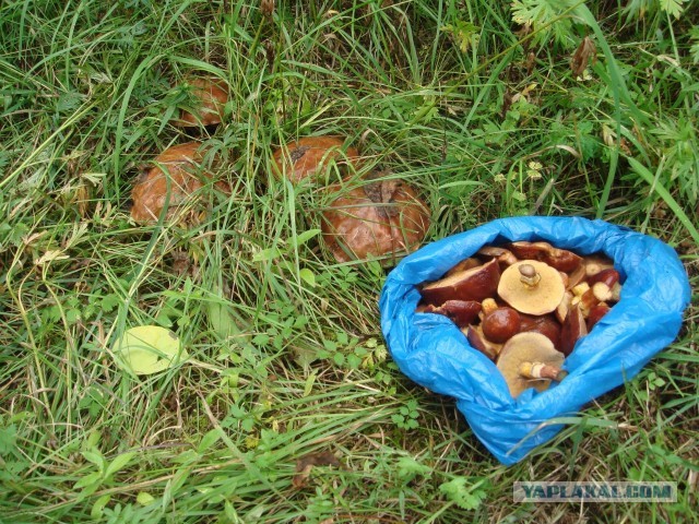 Затерянный уголок России.