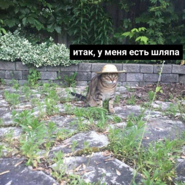 Небаянистая деградация 6