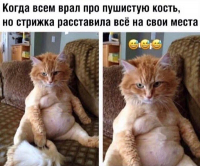 Вечер воскресенья