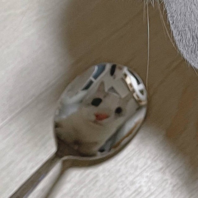 Ложки нет