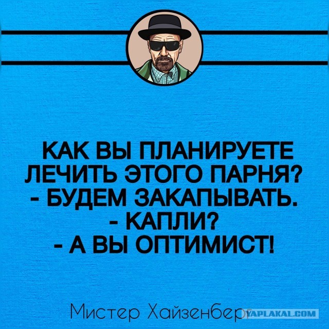 Розы гибнут на газонах...