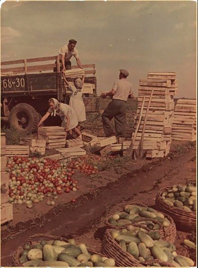 50 лет жизни в СССР глазами известного фотографа