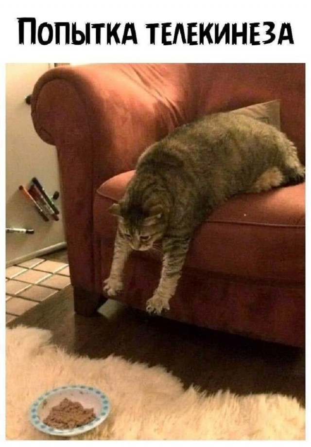 Так себе картинки 18.02.26