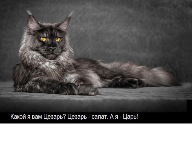 Воскресные картинки
