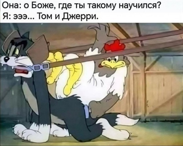 20942091.jpg