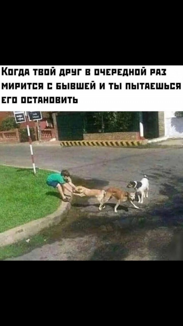 Картинки для деградации 198 (разной степени свежести)