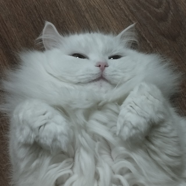 Кузя