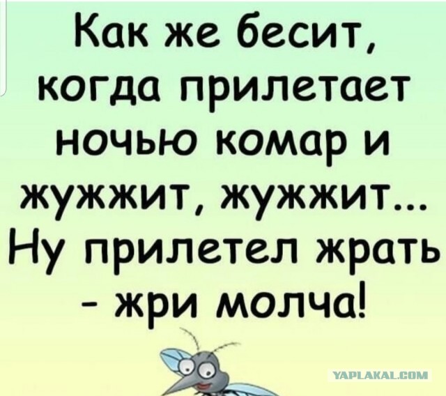Так себе картинки 30.06.26