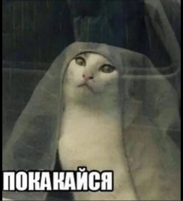Деградация