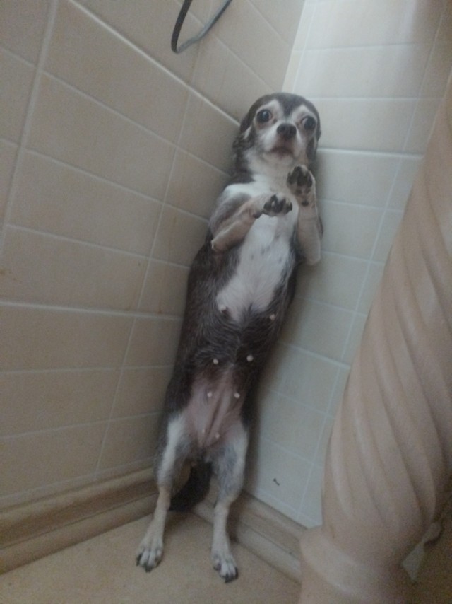 Никки