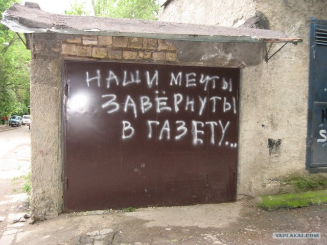 Смешные картинки, снятые на мобильник