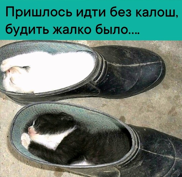 Так себе картинки 29.09.26