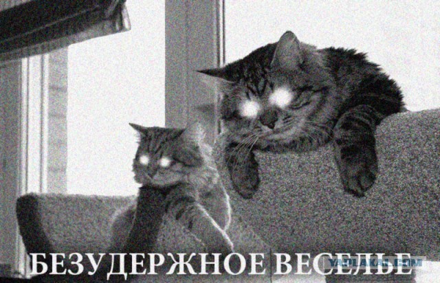 Пришел за хлебом и расплакался