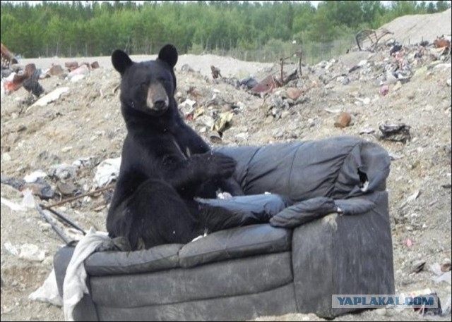НАЧАЛОСЬ! Движение к западной границе!