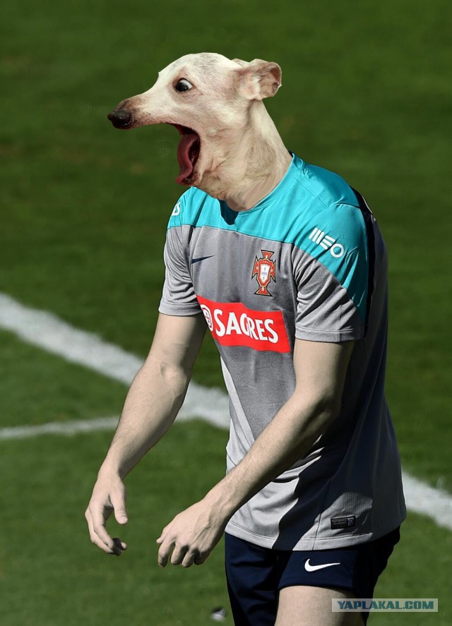 Жабельный Cristiano Ronaldo
