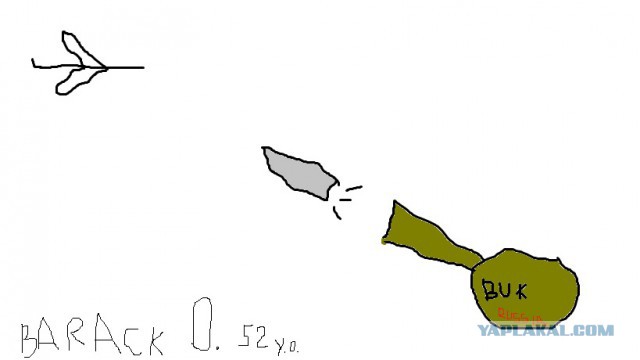 США опубликовали данные со Спутника