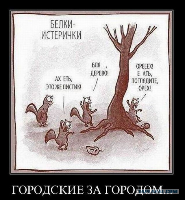 Немного смешных картинок из сети