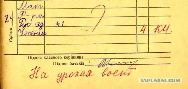 Очередная подборка записей в дневниках