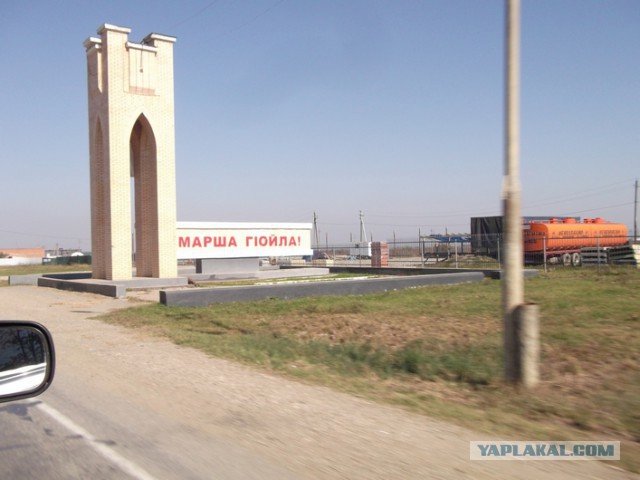 Толерантности пст