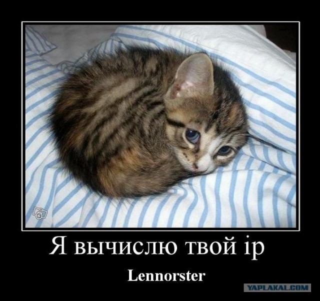 Общий бюджет .