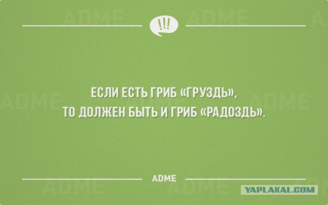 Смешные комментарии из социальных сетей 11.11.2014