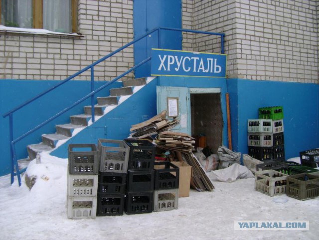 Мой первый заработок