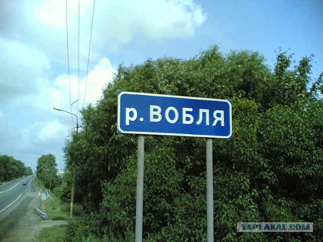 Тамбовский волк тебе товарищ...