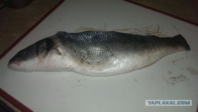 Вкусное обаяние Кулинарии, Повара ЯПа поздравляют милых дам!