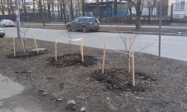 Мой метод борьбы с парковкой на газоне