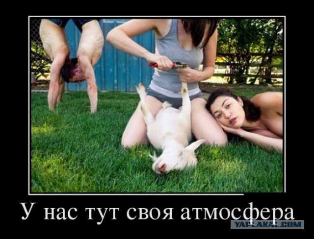 Подборка демотиваторов