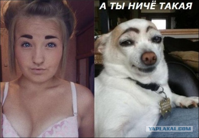 Ужасы и приколы из соцсетей 18+