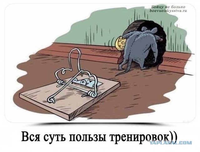 Прикольные фото и картинки