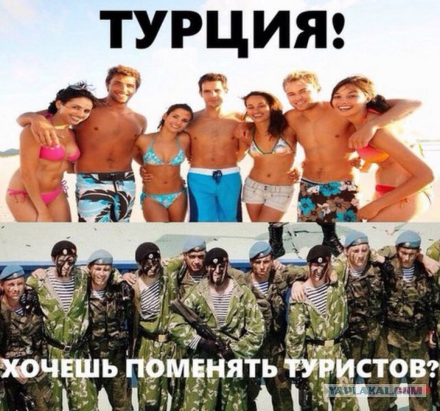 От мертвого осла уши