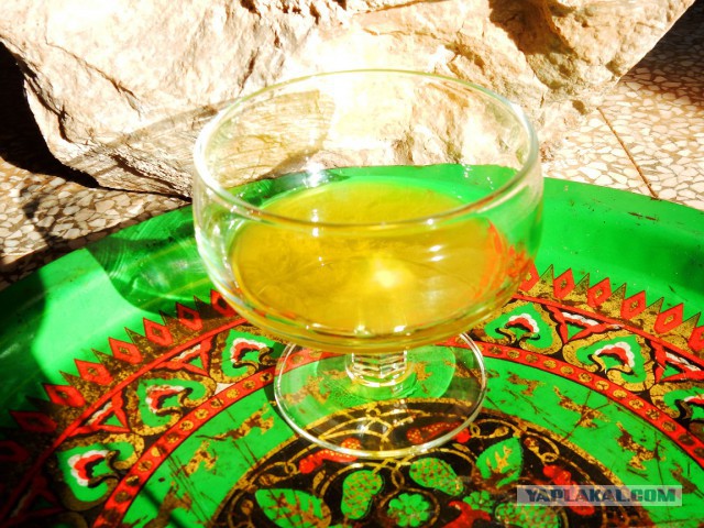 Паста с водкой (опять итальянская вечнозеленая кухня)