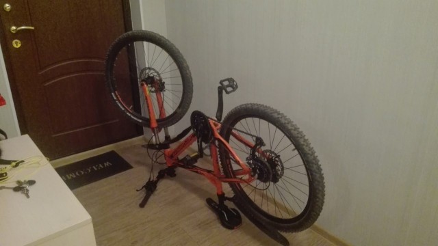 20 фото из жизни сильных и независимых мужчин