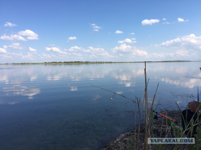 Апрельская рыбалка
